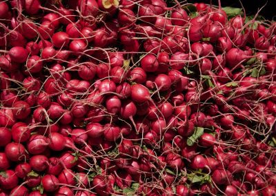 Radishes